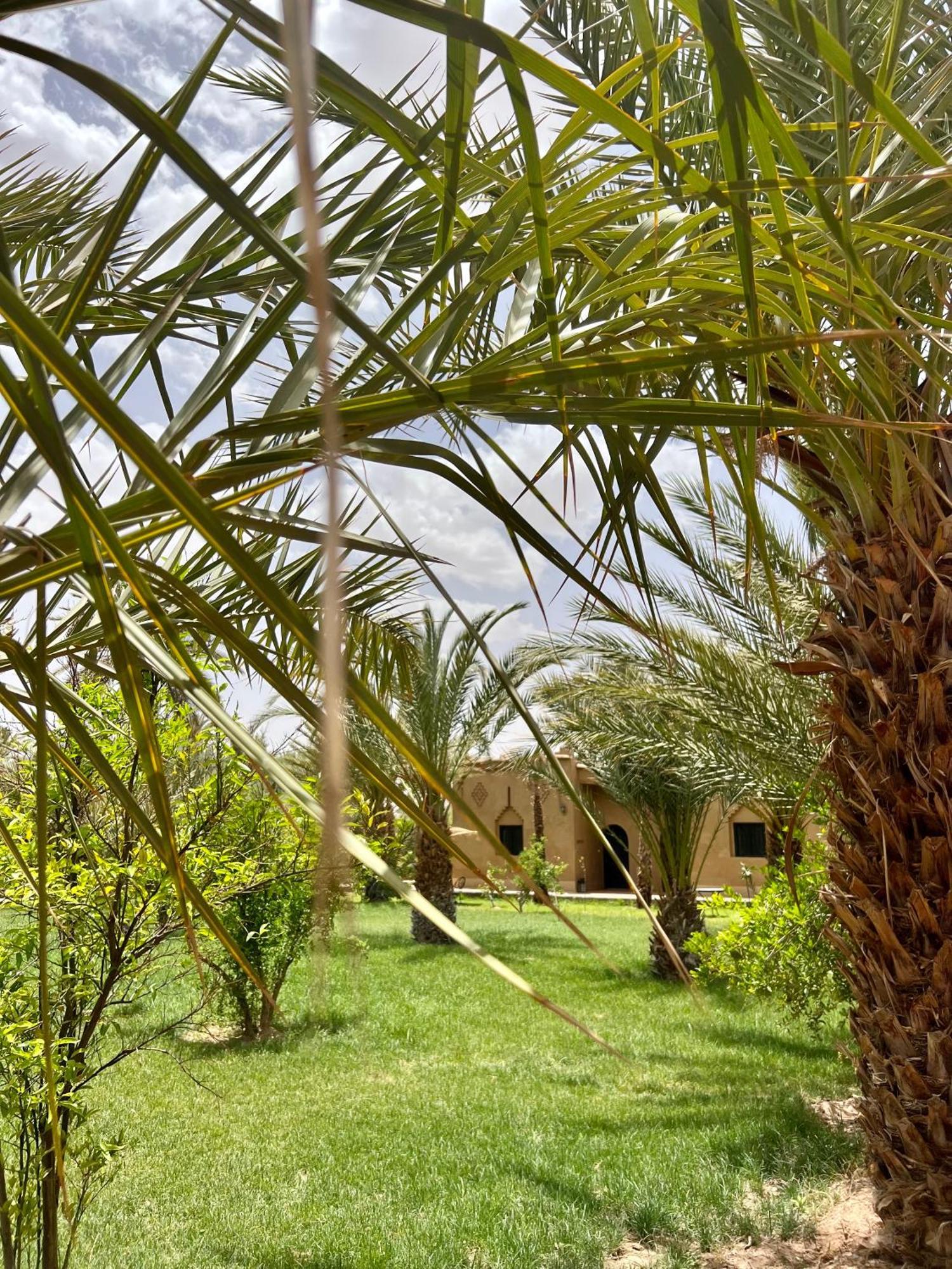 Hotel Kasbah Des Cypres Skoura Exterior foto