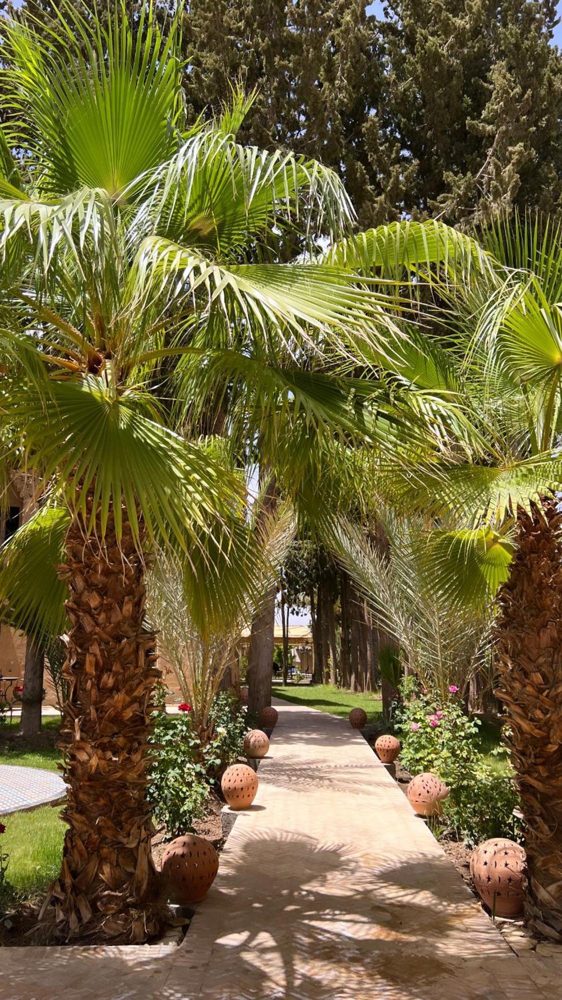 Hotel Kasbah Des Cypres Skoura Exterior foto